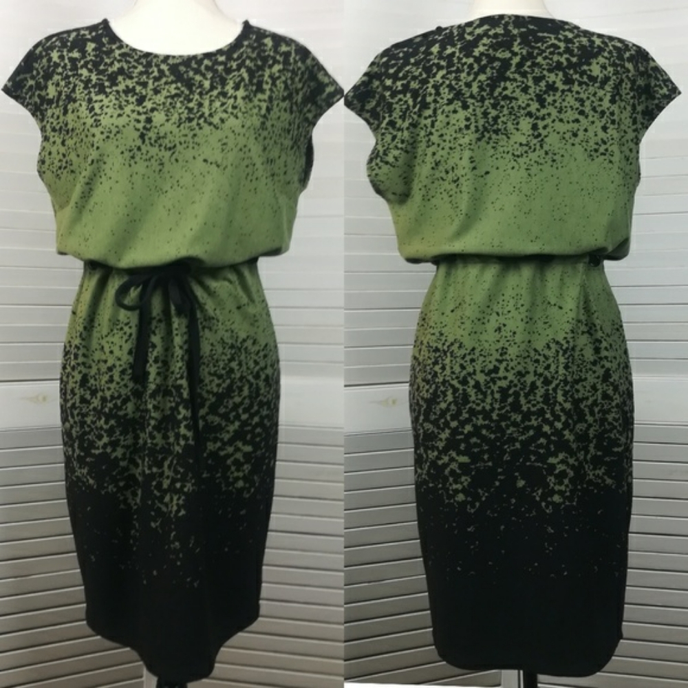 Linea by Louis Dell'Olio Green & Black Dress